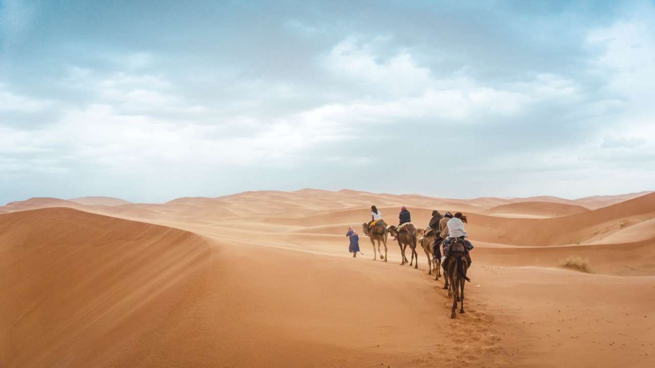 Curiozități despre Sahara